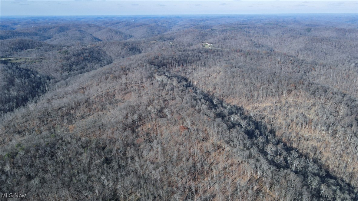15999 State Route 26 Reno, OH 45773 - Photo 14 of 18 Aerial view of a forest