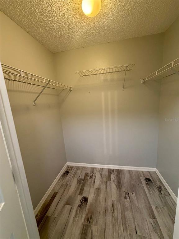 251 Rhapsody Lane Apopka, FL 32703 - Photo 12 of 19