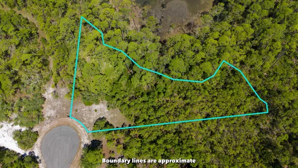 $35,000 | Lot 24 Leap Frog Lane, Panacea, FL 32346