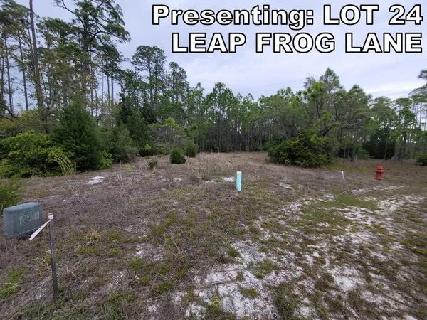 $35,000 | Lot 24 Leap Frog Lane, Panacea, FL 32346