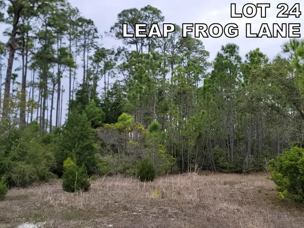 $35,000 | Lot 24 Leap Frog Lane, Panacea, FL 32346
