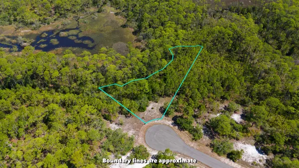 $35,000 | Lot 24 Leap Frog Lane, Panacea, FL 32346