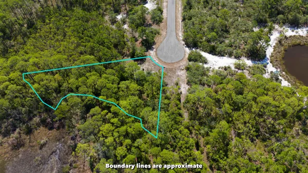 $35,000 | Lot 24 Leap Frog Lane, Panacea, FL 32346