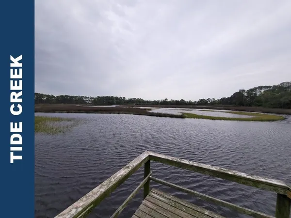 $35,000 | Lot 24 Leap Frog Lane, Panacea, FL 32346
