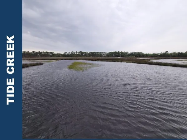 $35,000 | Lot 24 Leap Frog Lane, Panacea, FL 32346