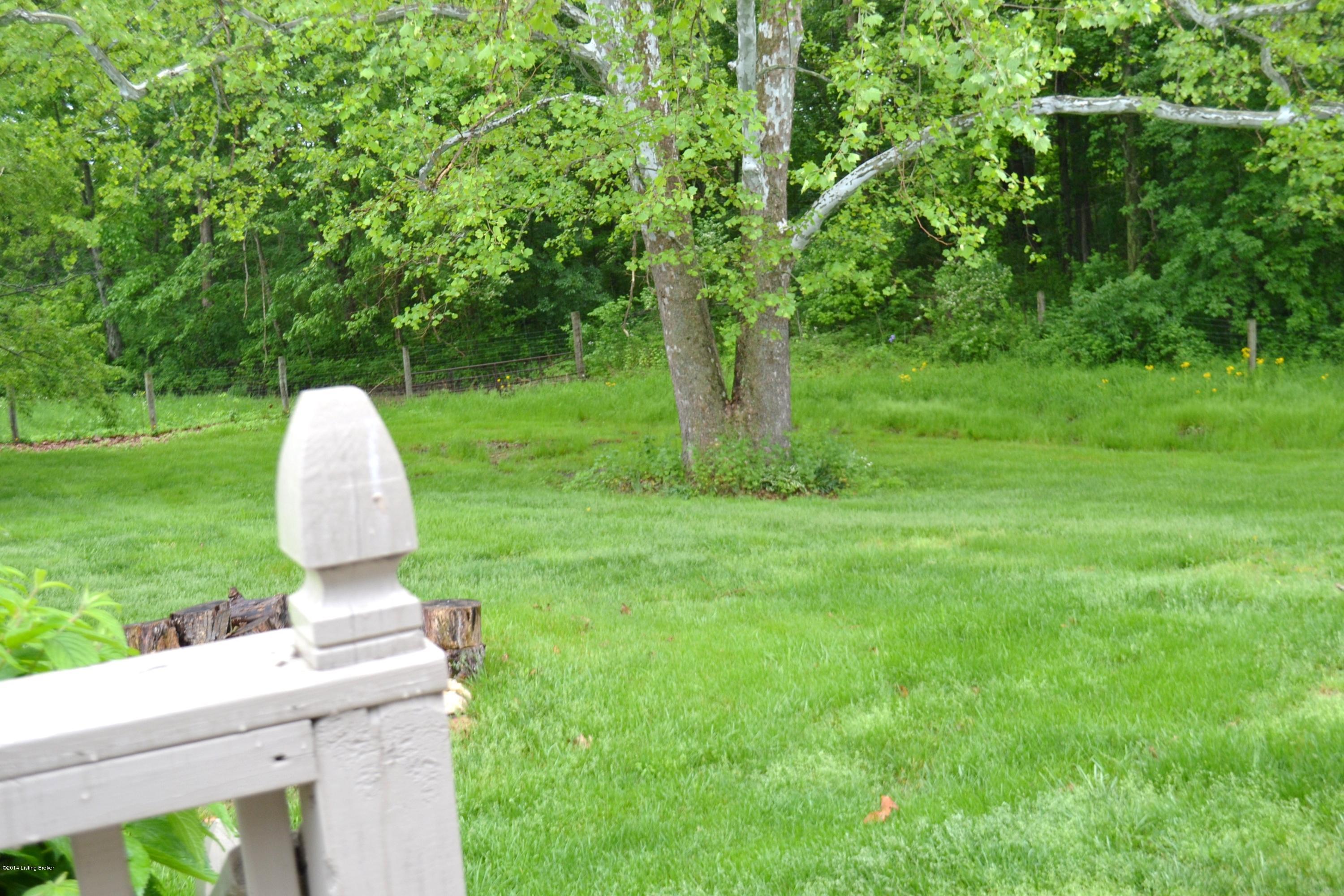 46 Mahuron Road Simpsonville, KY 40067 - Photo 22 of 31 DSC_0792