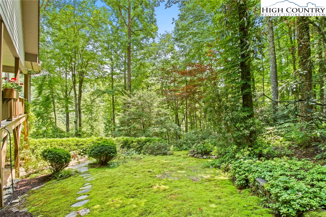 1583 Fall Creek Road Purlear, NC 28665 - Photo 48 of 50 Gallery Image 48