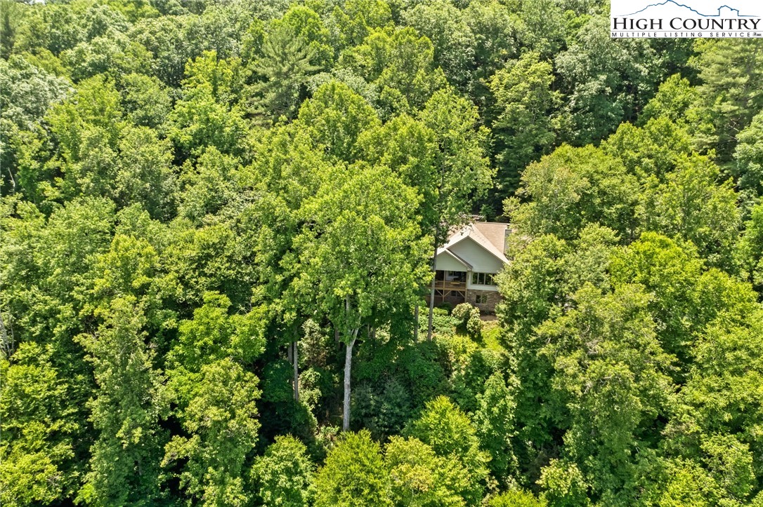 1583 Fall Creek Road Purlear, NC 28665 - Photo 50 of 50 Gallery Image 50