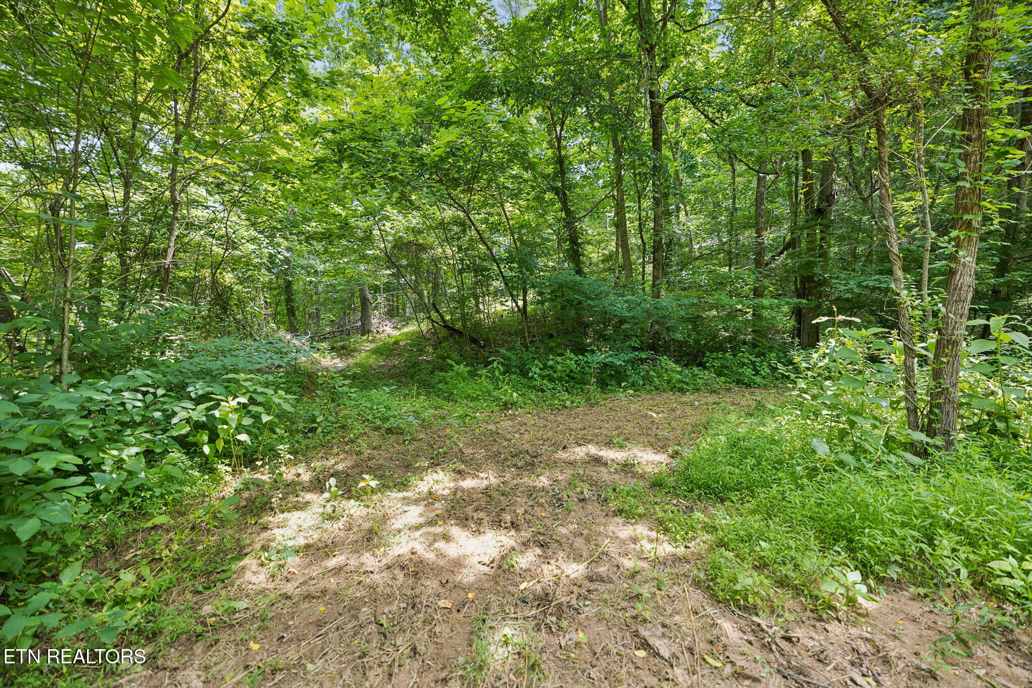 Knob Road Rutledge, TN 37861 - Photo 9 of 46 2-344 Knob Rd - 002