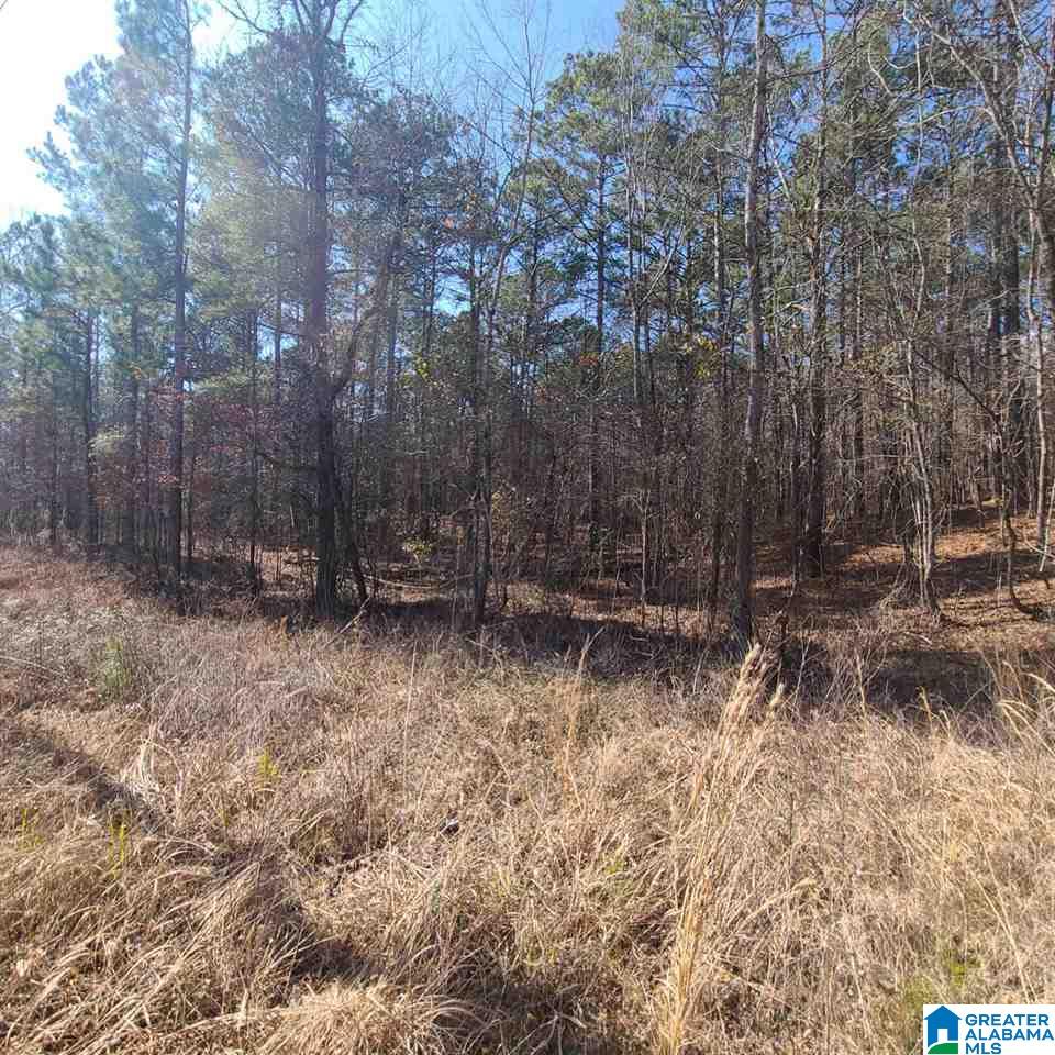 0 Broken Arrow Creek Road, Unit TRACT B Riverside, AL 35135 - Photo 3 of 4