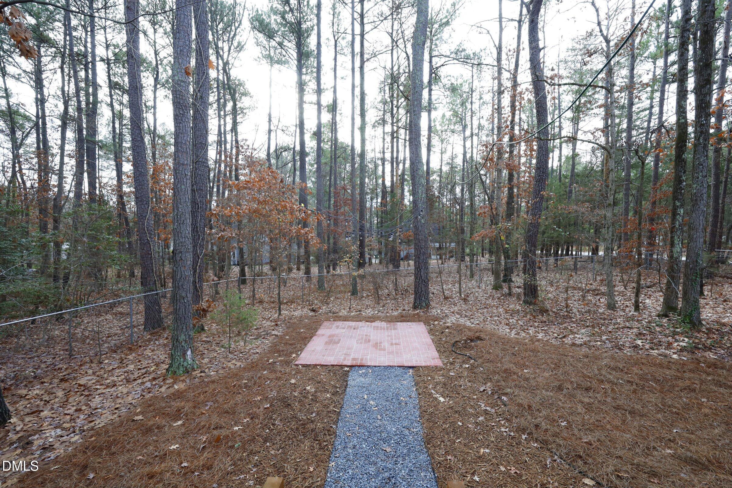 237 Glen Eden Road Durham, NC 27713 - Photo 31 of 37 a view of a forest with trees