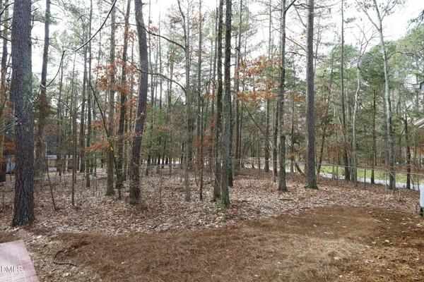 a view of wooden floor and trees in the background