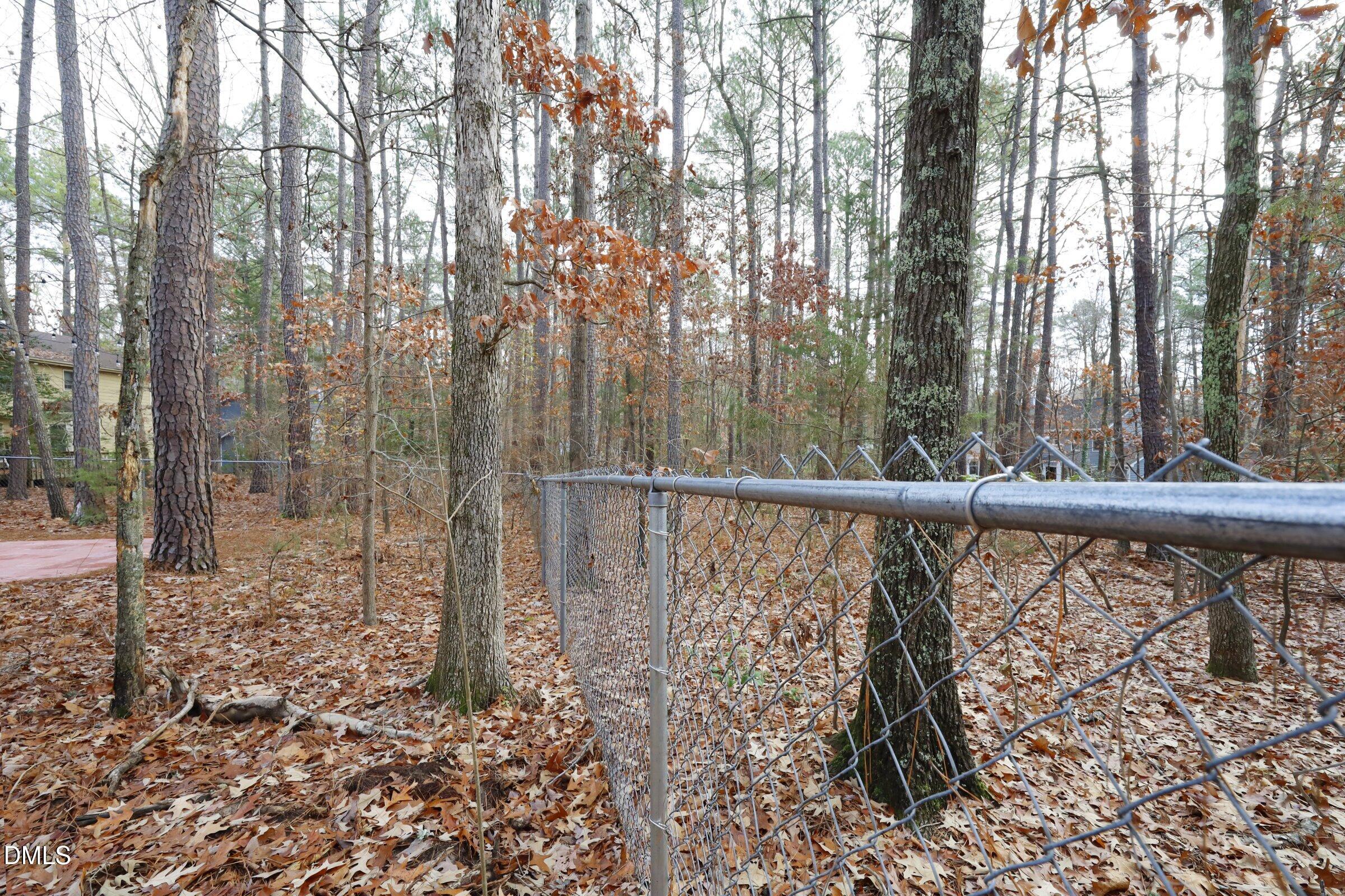 237 Glen Eden Road Durham, NC 27713 - Photo 36 of 37 a view of wooden floor and trees in the background