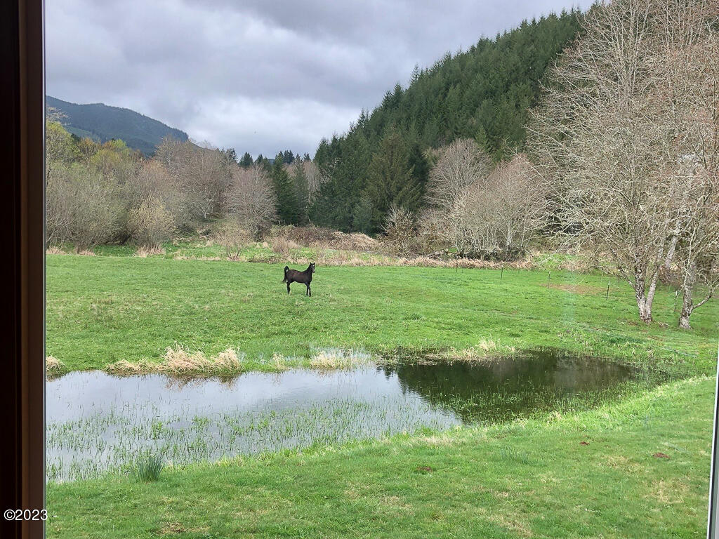 12319 Logsden Road Blodgett, OR 97326 - Photo 67 of 78 Natural pond