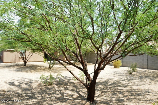 6719 West Beverly Road Laveen, AZ 85339 - Photo 23 of 28 DSC_6182