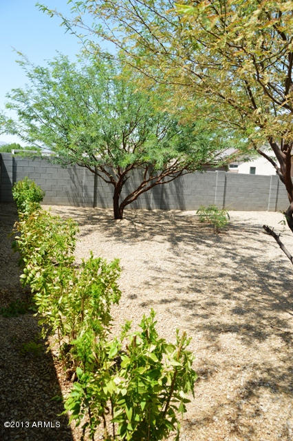 6719 West Beverly Road Laveen, AZ 85339 - Photo 24 of 28 DSC_6181