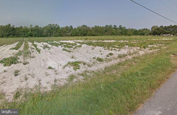 Lot 6 Eden Allen Road Eden, MD 21822 - Photo 2 of 6
