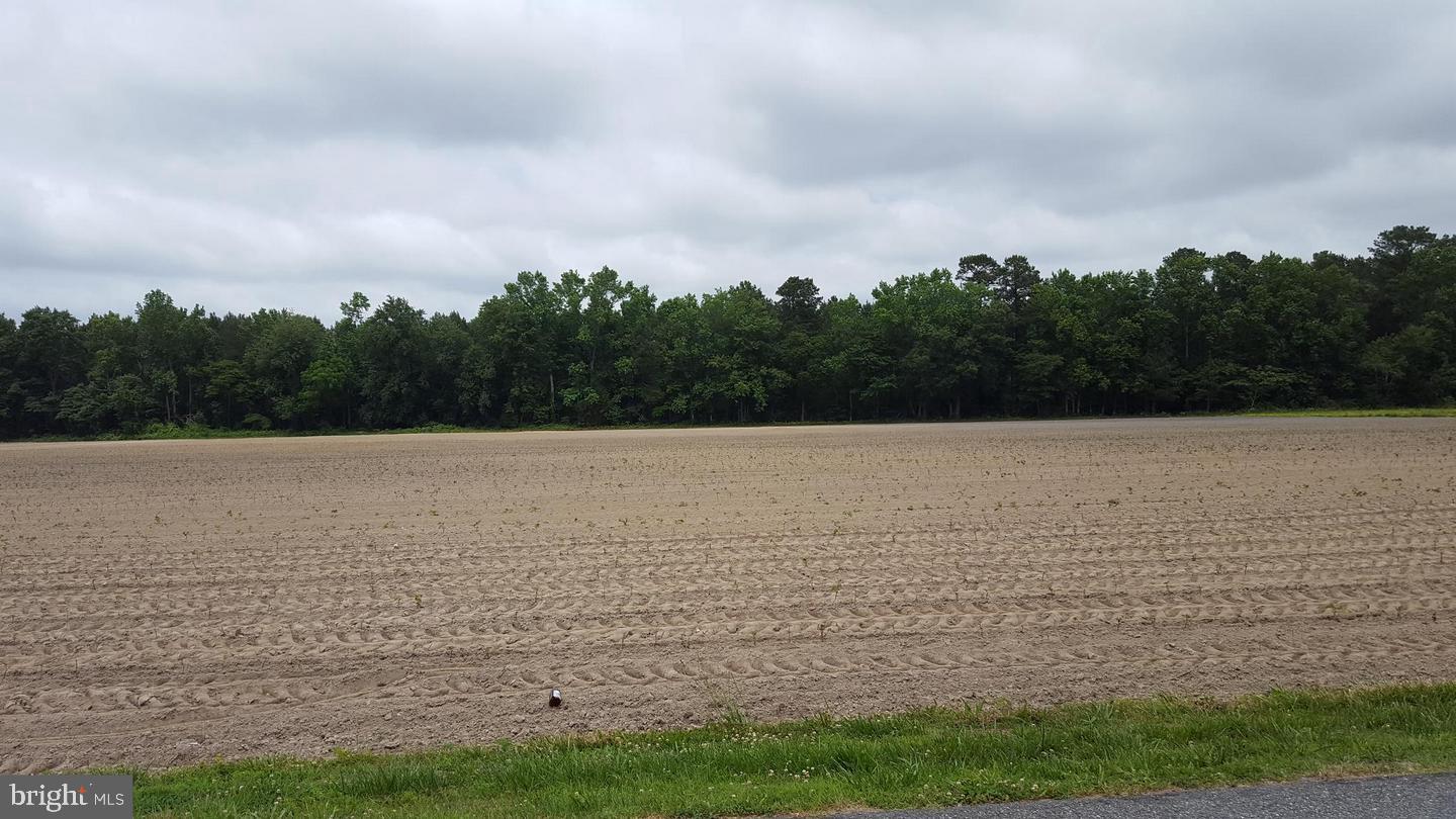 Lot 6 Eden Allen Road Eden, MD 21822 - Photo 3 of 6