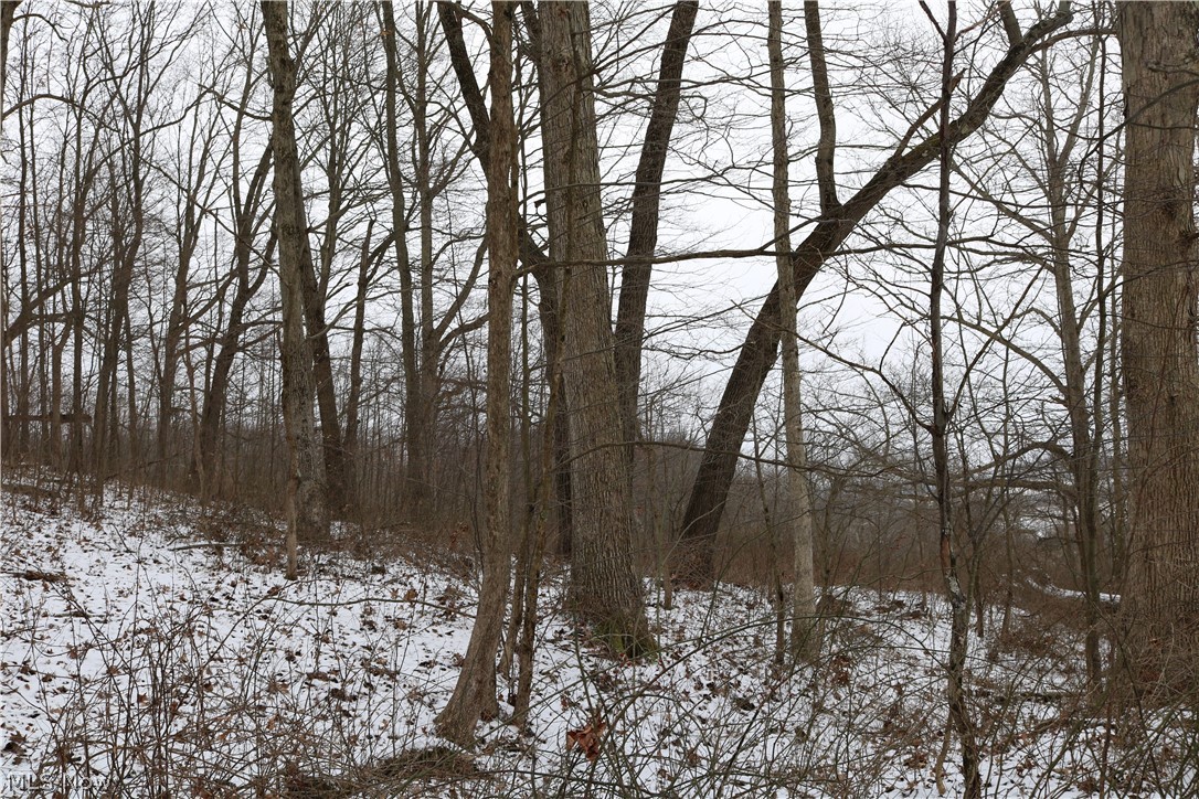 9070 Derry Road Southwest Bowerston, OH 44695 - Photo 4 of 6 Gallery Image 4