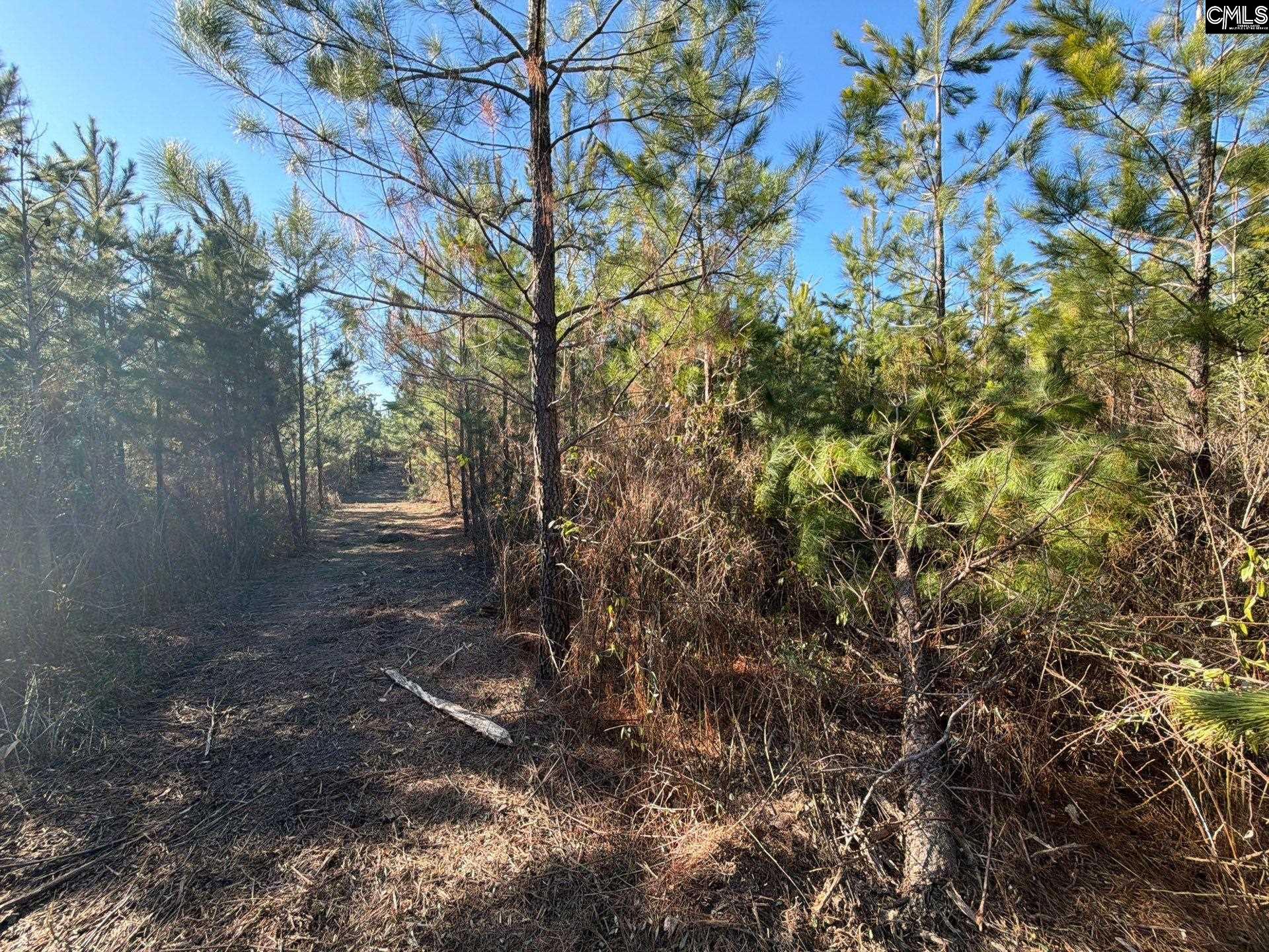 6 Brunson Teal Road, Unit BFF II 6 Patrick, SC 29584 - Photo 11 of 19