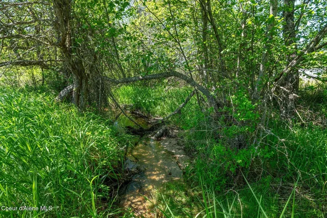 $335,000 | 2902 Jewel Lake Road, Sagle, ID 83860