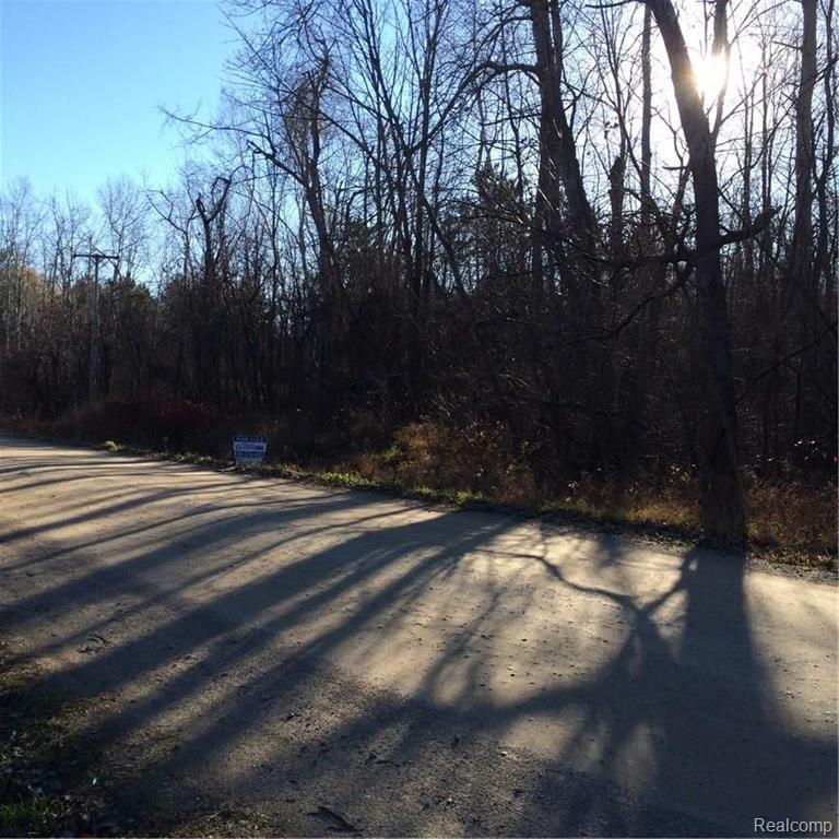 0 Ewalt Road Imlay City, MI 48444 - Photo 3 of 12