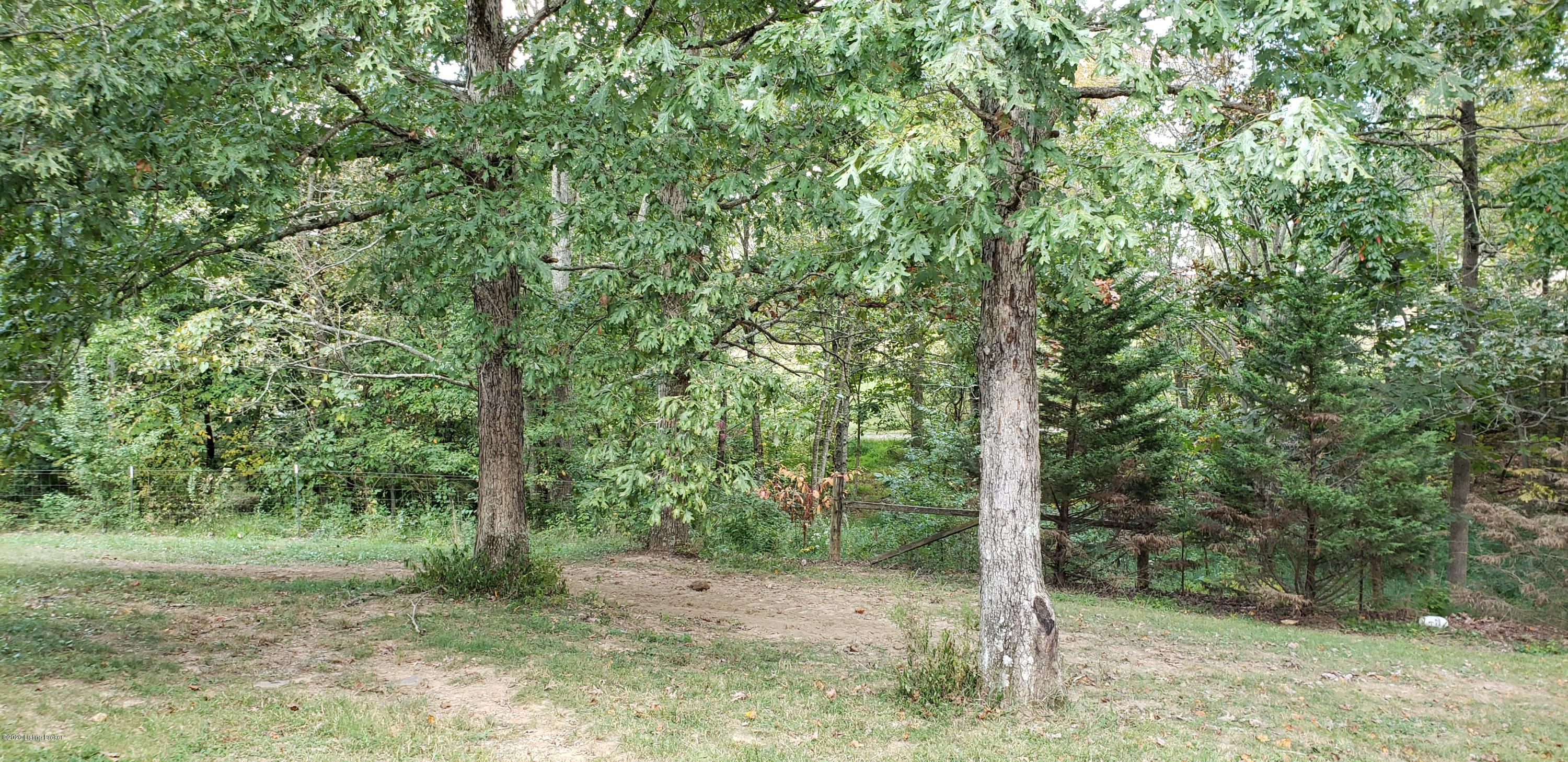 2725 Nat Rogers Road Boston, KY 40107 - Photo 31 of 34 2725 view