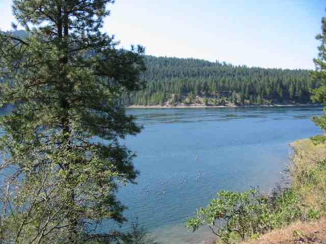 Tbd China Bend Road Kettle Falls, WA 99141 - Photo 3 of 3 Gallery Image 3