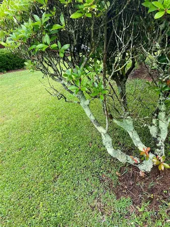 $240,000 | 0 North Livingston Road, Unit 2903, Madison, MS 39110