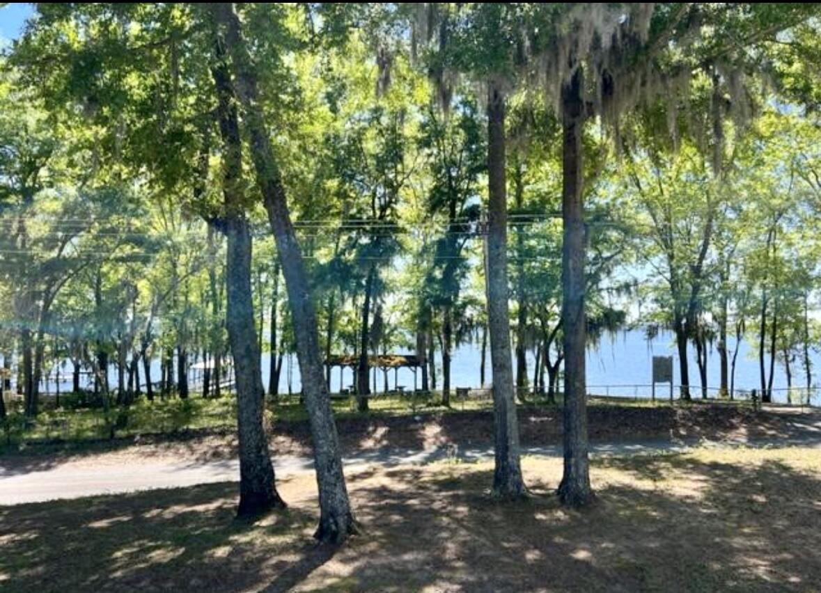 2939 Princess Pond Road Summerton, SC 29148 - Photo 29 of 30 E0319B5F-3CE6-4724-9371-7DA5E41E6AC5