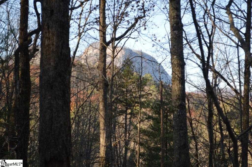 104 River Road Cleveland, SC 29635 - Photo 2 of 21