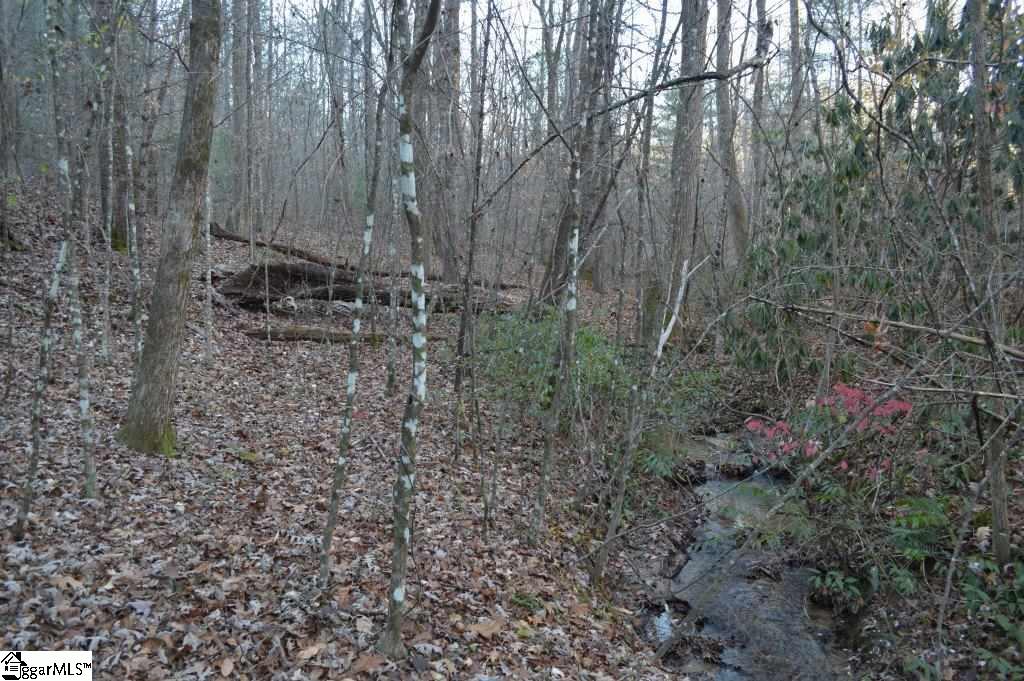 104 River Road Cleveland, SC 29635 - Photo 11 of 21