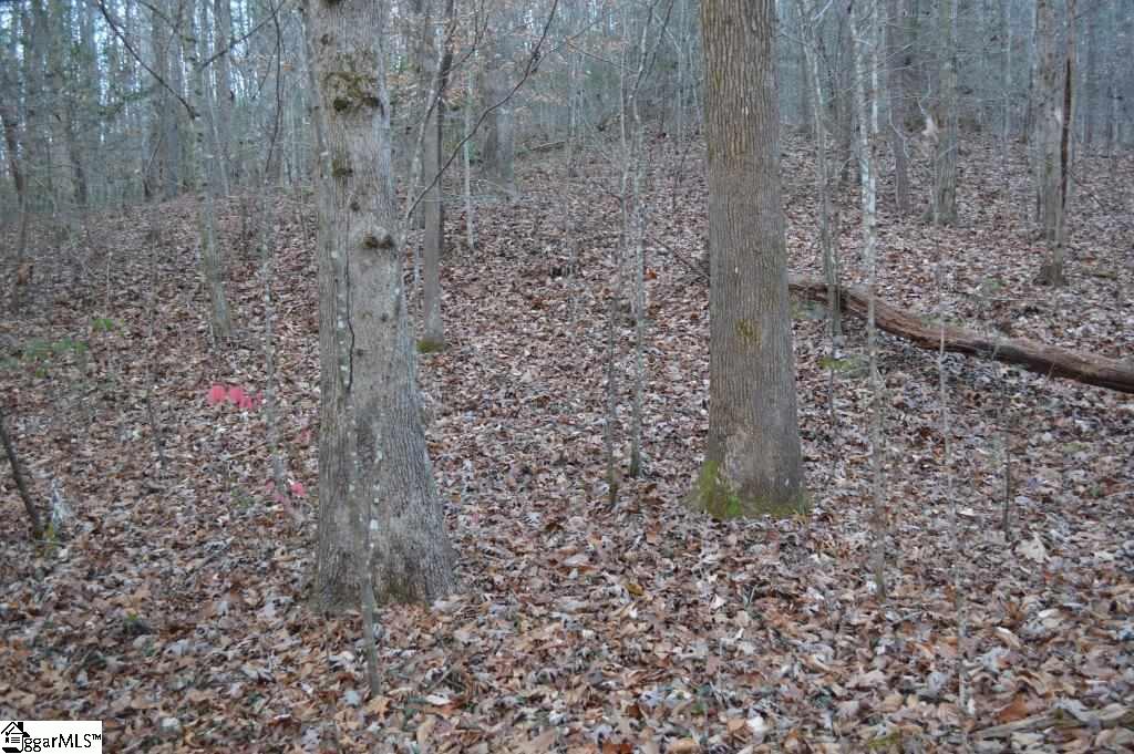 104 River Road Cleveland, SC 29635 - Photo 12 of 21