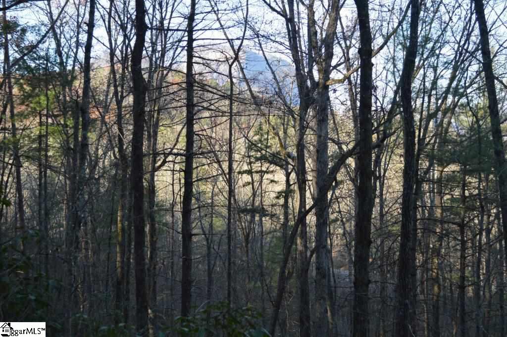 104 River Road Cleveland, SC 29635 - Photo 13 of 21