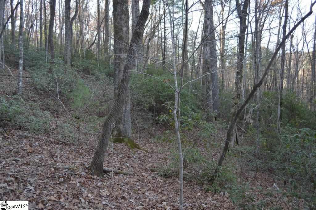 104 River Road Cleveland, SC 29635 - Photo 14 of 21