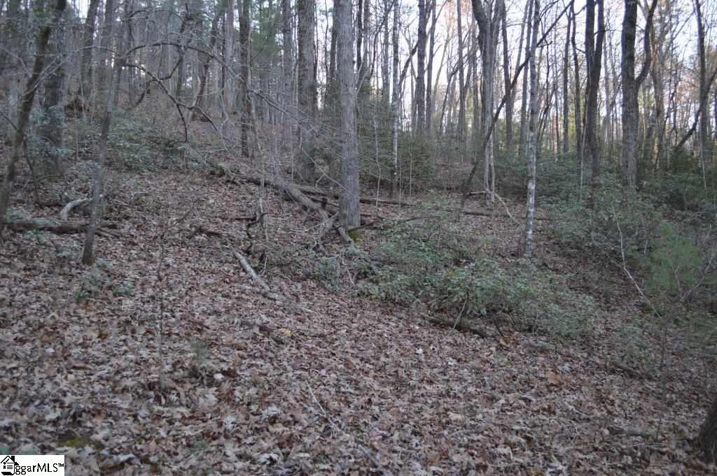 104 River Road Cleveland, SC 29635 - Photo 15 of 21