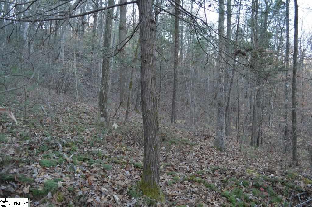 104 River Road Cleveland, SC 29635 - Photo 4 of 21