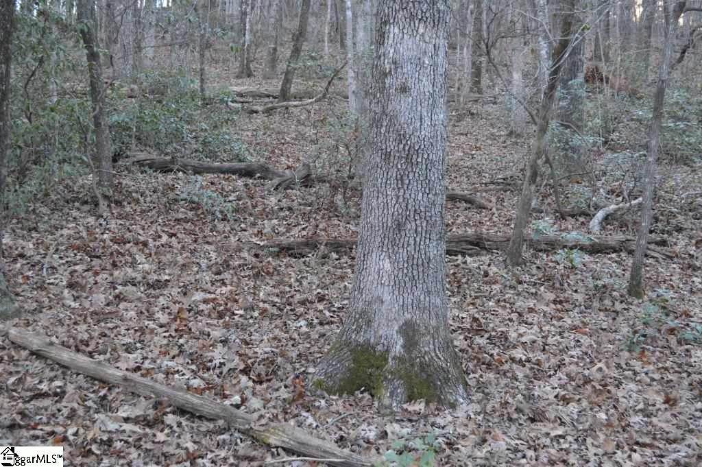 104 River Road Cleveland, SC 29635 - Photo 7 of 21