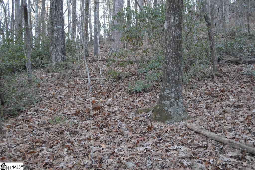 104 River Road Cleveland, SC 29635 - Photo 8 of 21