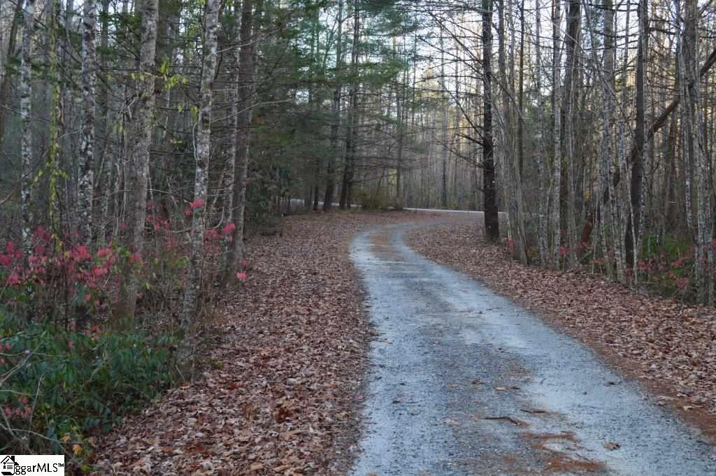 104 River Road Cleveland, SC 29635 - Photo 9 of 21