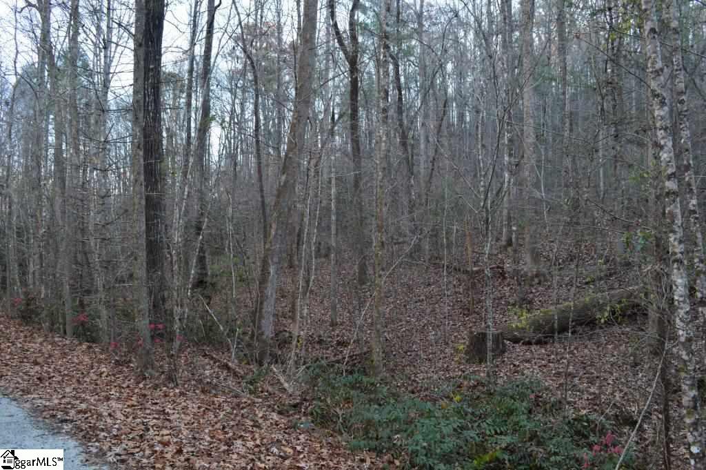 104 River Road Cleveland, SC 29635 - Photo 10 of 21