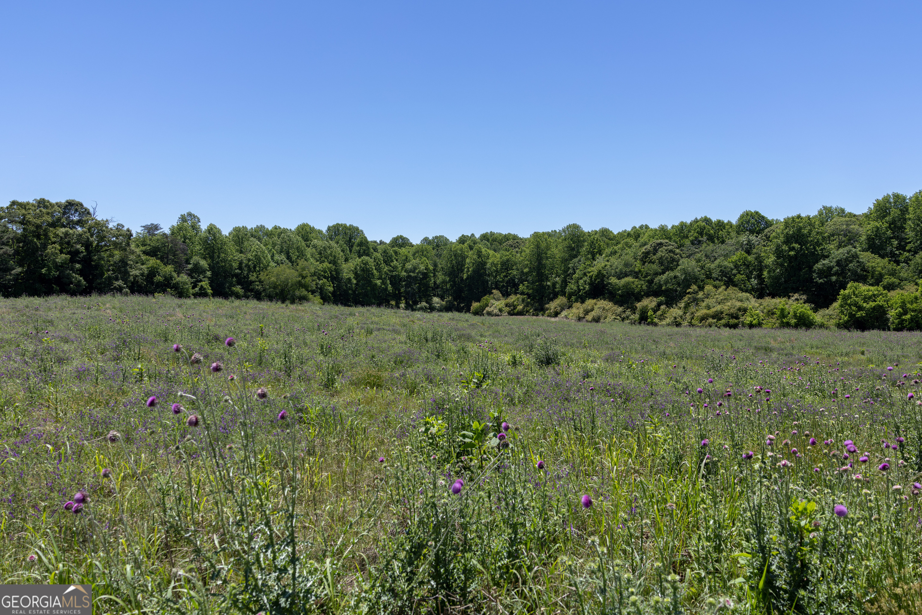 3600 Pea Ridge Road Cornelia, GA 30531 - Photo 10 of 11 a view of a field with trees in the background