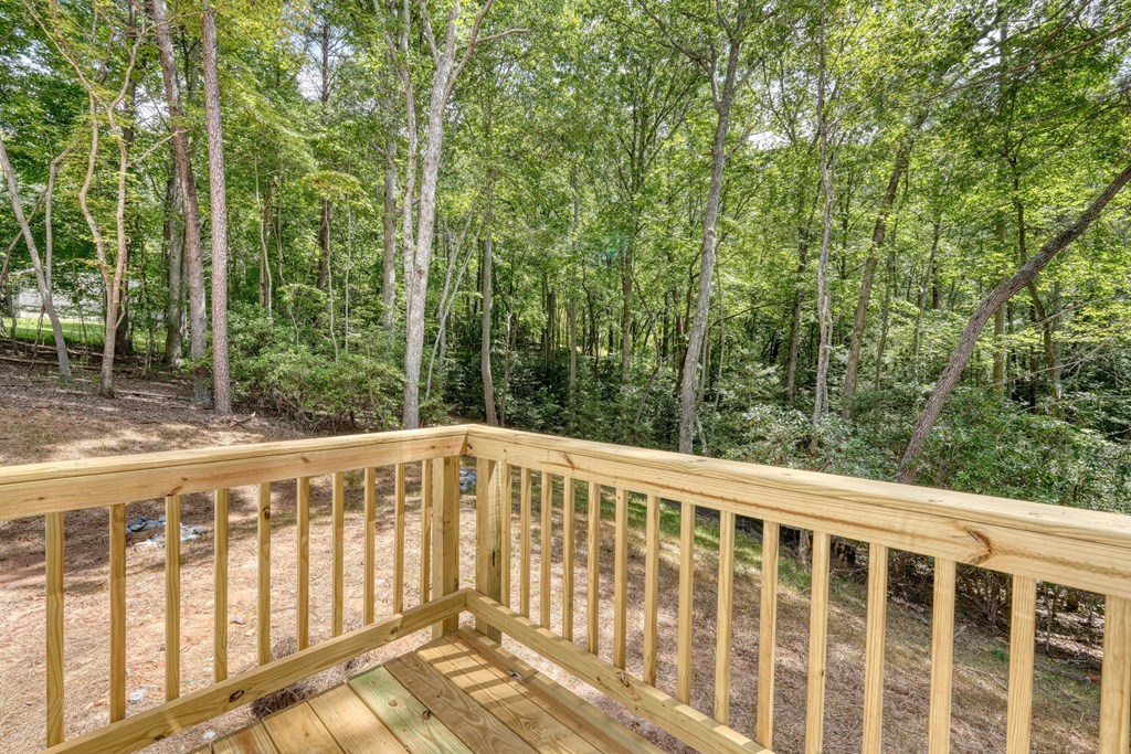 180 Laurel Ridge Road Blairsville, GA 30512 - Photo 26 of 34 Gallery Image 26