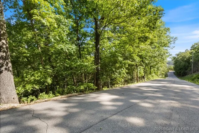 $60,000 | 0 Rustic Valley Drive, Roach, MO 65787