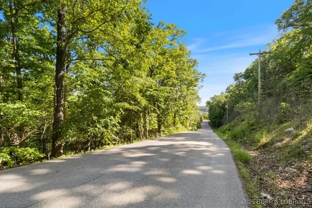 $60,000 | 0 Rustic Valley Drive, Roach, MO 65787