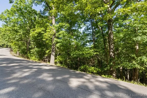 $50,000 | 0 Rustic Valley Drive, Roach, MO 65787