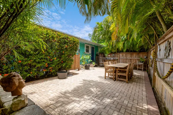 a view of a backyard with plants and large trees