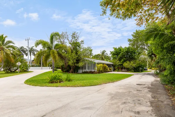 a view of a park with plants and trees