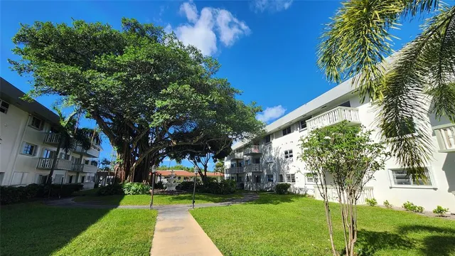 a view of a yard with palm trees