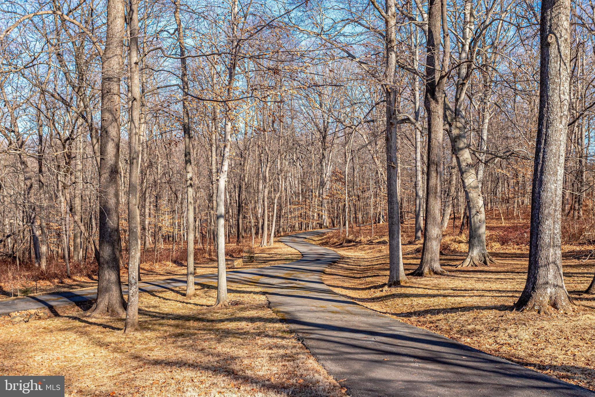 40445 Beechnut Road Leesburg, VA 20175 - Photo 39 of 42 Lovely Wooded Paved Driveway Entrance to Home